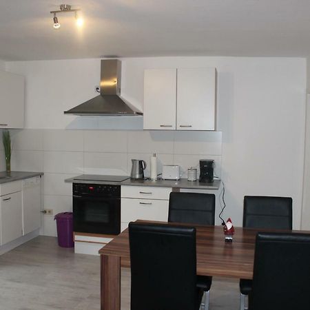 Gut Gelegenes Appartment Mit Wifi, Parkplatz, Wama, Trockner Usw. Kaiserslautern Eksteriør bilde